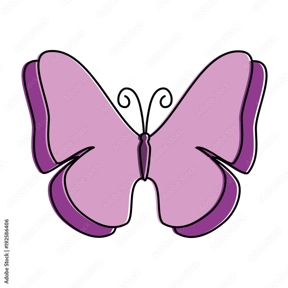 butterfly flying decorative frame vector illustration design butterfly flying decorative frame vector illustration design