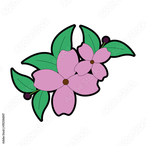 beautiful floral decoration frame vector illustration design