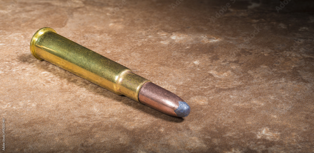 Round used in 303 chambered rifles Round used in 303 chambered rifles