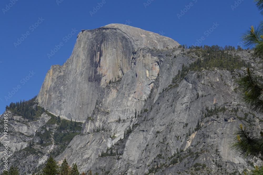 Fototapeta premium Yosemite National Park. CA