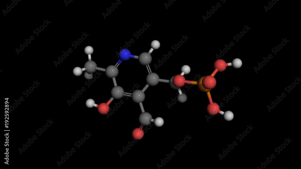 vitamin b6 molecule model rotating. vitamin b6 or pyridoxal phosphate serves as a coenzym in enzyme reactions. It is widely distributed in foods. vitamin b6 molecule model rotating. vitamin b6 or pyridoxal phosphate serves as a coenzym in enzyme reactions. It is widely distributed in foods.