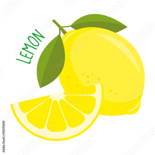 Lemon vector illustration isolated