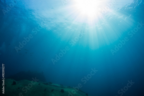 Underwater seascape with natural sunlight through water surface and rocks on the seabed.underwater background © papzi