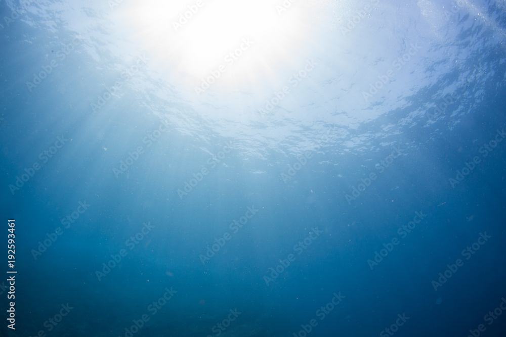 Fototapeta premium Underwater seascape with natural sunlight through water surface and rocks on the seabed.underwater background