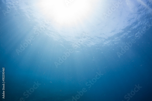Underwater seascape with natural sunlight through water surface and rocks on the seabed.underwater background