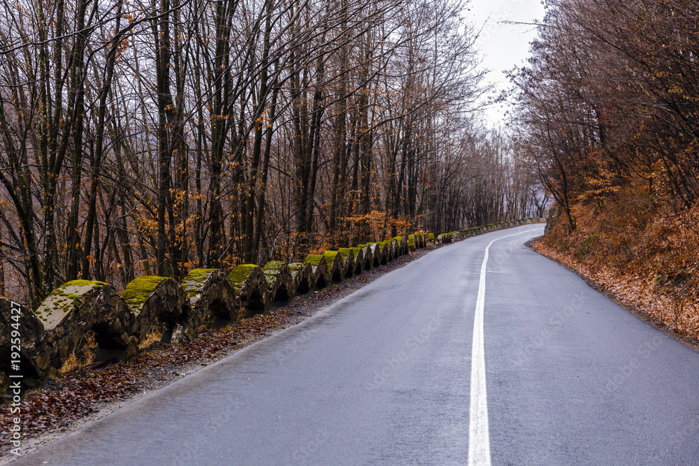 a mountain road through the Apuseni Mountains in Romania