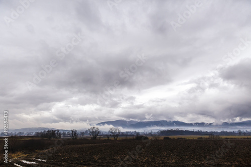 fog and clouds over an agricultural land