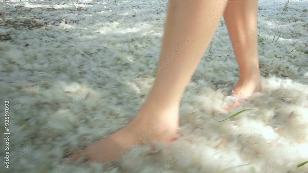Girl is walking on fluff. View on legs Girl is walking on fluff. View on legs