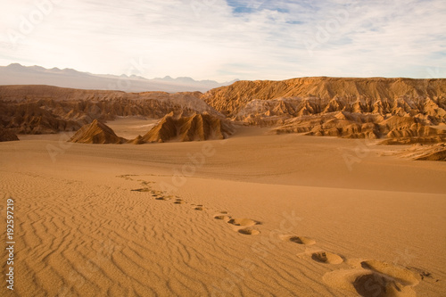 Footprints at Valle de la Muerte (Spanish for Death Valley), Los Flamencos National Reserve, San Pedro de Atacama, Atacama desert, Antofagasta Region, Chile, South America