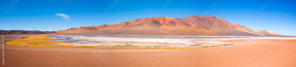 Salar de Aguas Calientes (Aguas Calientes Salt Lake) in the Altiplano (high Andean plateau) at an altitude of 4200m, Atacama desert, Chile, South America