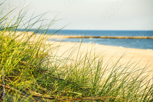 Fototapeta Naklejka Na Ścianę i Meble -  beach of the Baltic sea with beach grass and park bench in back light