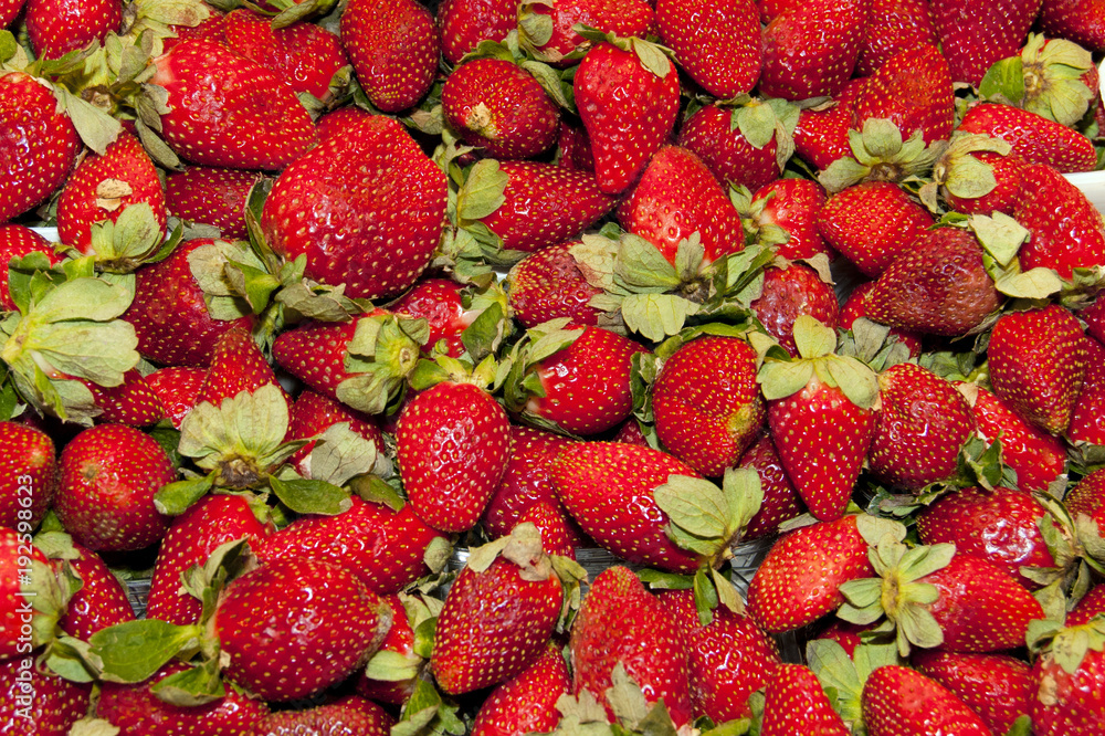 Fresh Strawberry Fresh Strawberry