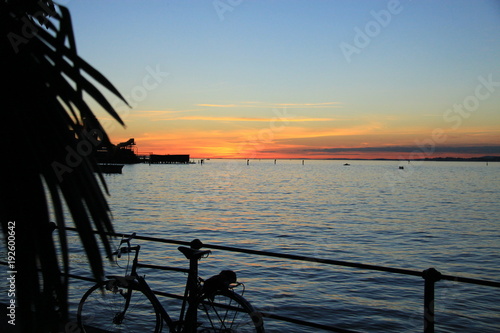 View of sunset over a lake. In the foreground, a bicycle and a palm tree.