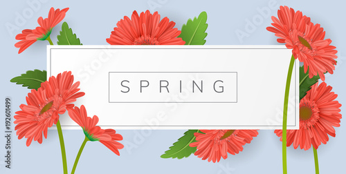 Horizontal banner for text with red gerbera daisy flower and green leaf. Vector illustration frame on blue background for spring and summer