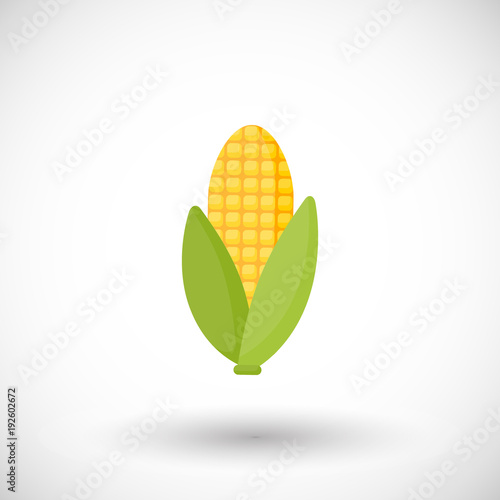 Corn vector flat icon
