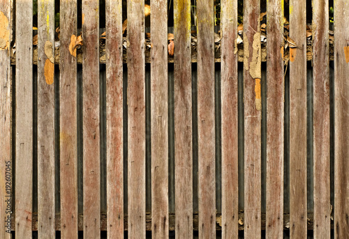 Old wooden fence, a close up photo image of old wooden fence that consist of a lot of long wood plate, surface of wooden fence has a damage scar from termite, staple and humidity