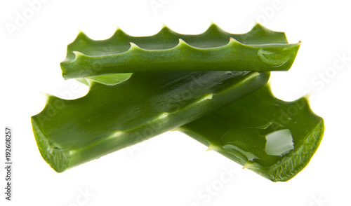 aloe isolated on white background closeup