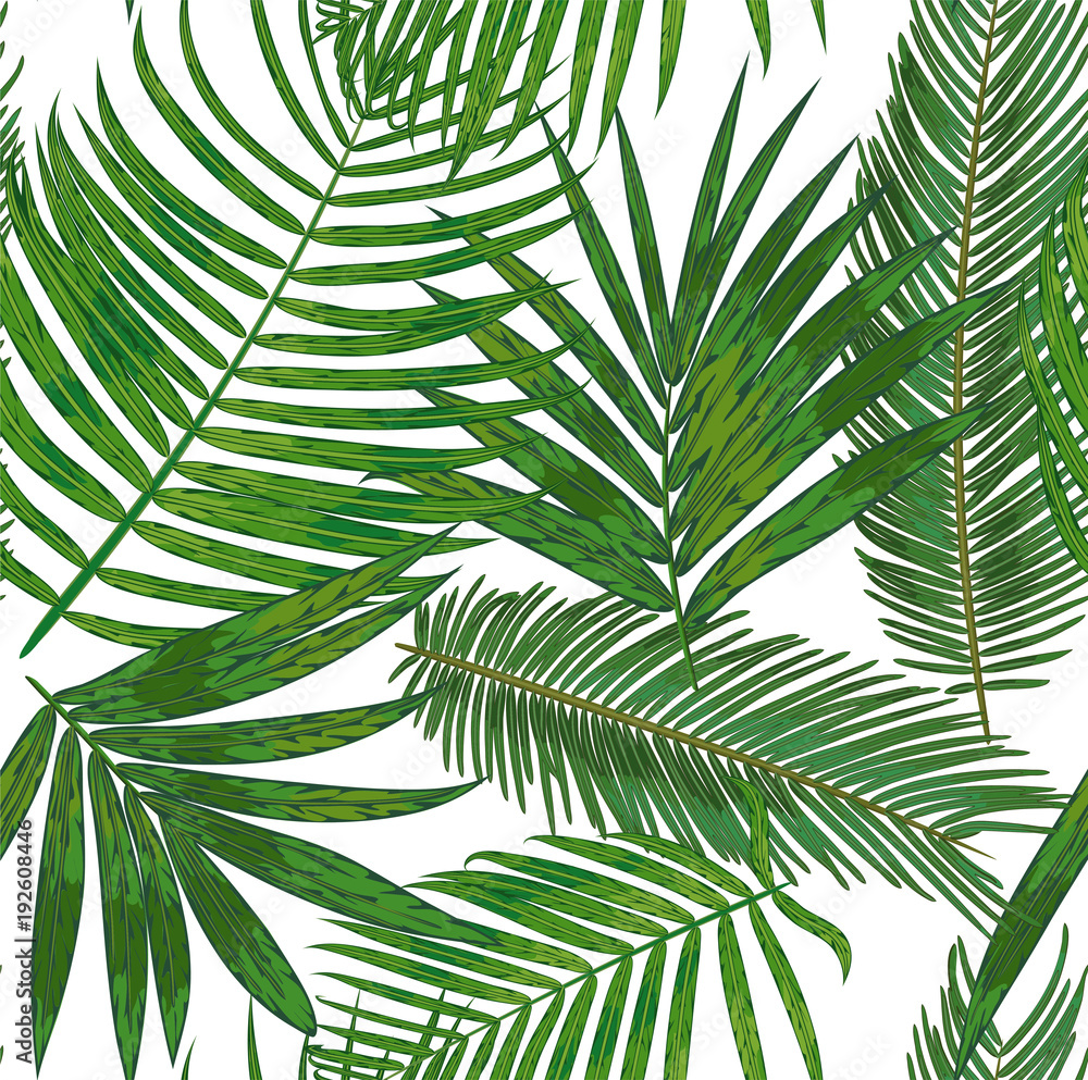 Obraz premium Vector Seamless pattern of tropical palm leaves. background of green areca, sago, howea foliage