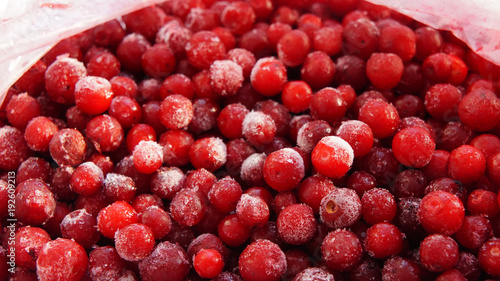 .frozen lingonberry, fresh from the refrigerator