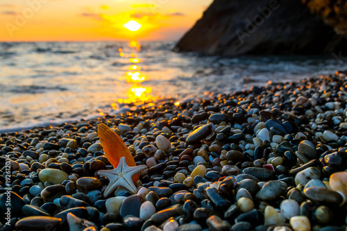 Fototapeta Naklejka Na Ścianę i Meble -  Sea shells at sunset