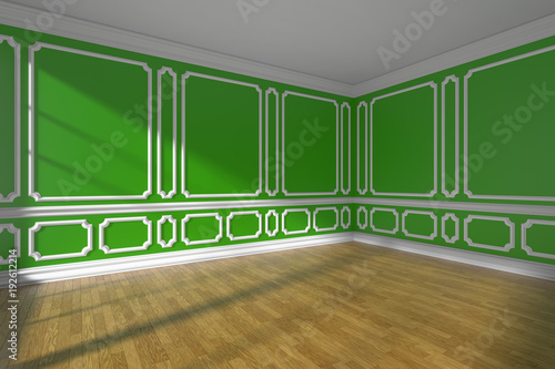 Green empty room with molding and parquet floor.