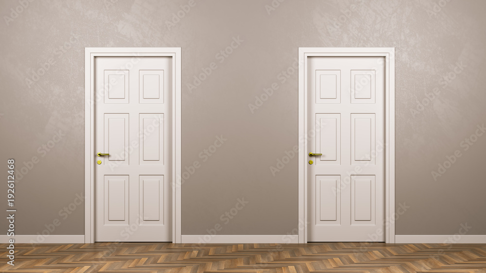 Two Closed White Doors in Front in the Room Two Closed White Doors in Front in the Room