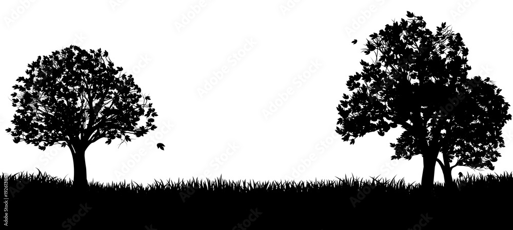 Silhouette Park or Field and Trees - obrazy, fototapety, plakaty 
