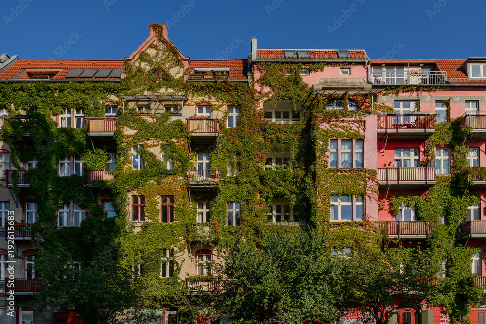 Grüne Lebensqualität: begrünte Hausfassade in Berlin-Prenzlauer Berg