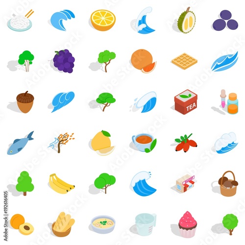Wild icons set, isometric style