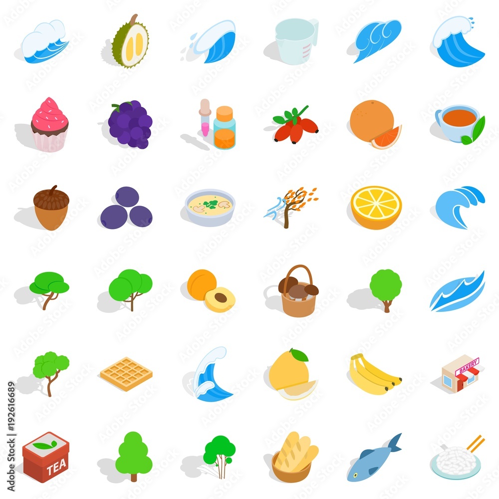 Lifelike icons set, isometric style Lifelike icons set, isometric style