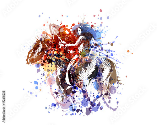 Vector color illustration of American Indian
