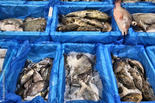 UK fish market in London photo