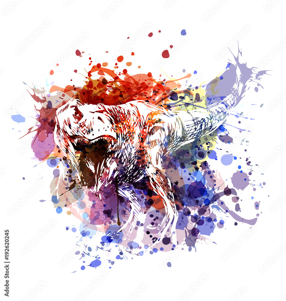 Obraz Wektor ilustracja kolor tyranozaura