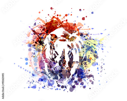 Vector color illustration rhinoceros