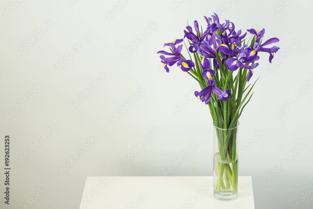 A beautiful bouquet of tender purple irises for a birthday gift in a vase of water on a white table on a light white background. A beautiful bouquet of tender purple irises for a birthday gift in a vase of water on a white table on a light white background.