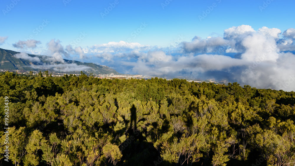 Krajobraz pod wulkanem Teide, Teneryfa, Wyspy Kanaryjskie