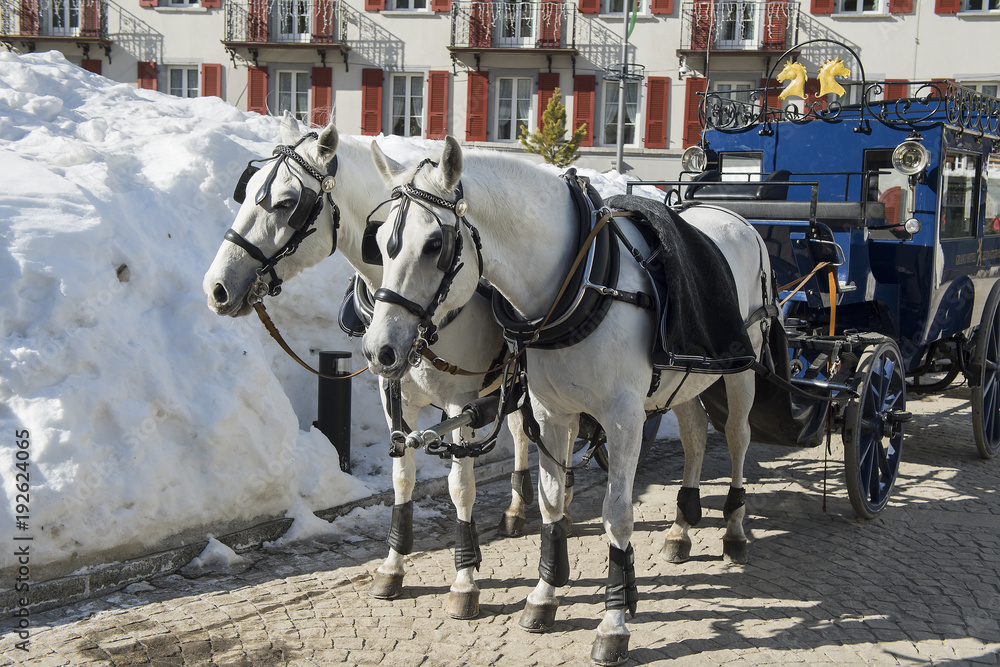 Pferdegespann mit Kutsche, Zermatt, Wallis, Schweiz Pferdegespann mit Kutsche, Zermatt, Wallis, Schweiz