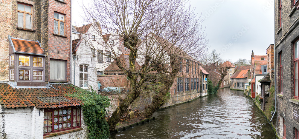Fototapeta premium Scenery of water canal in Bruges in winter, cityscape of Flanders, Belgium.