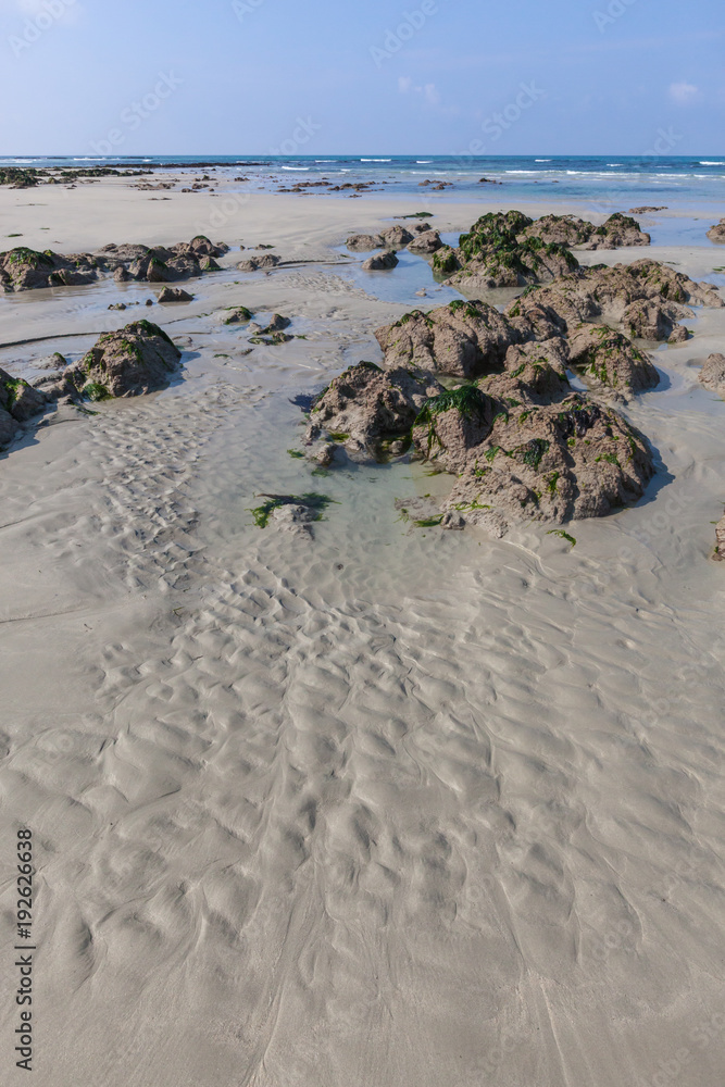 Obraz premium Low tide water on the beach of Brittany, the sand and stones covered with seaweed, France