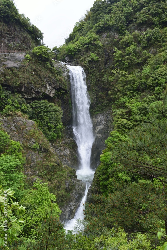 Fototapeta premium waterfall