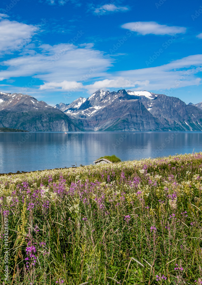 fiordo norvegese con le montagne innevate
