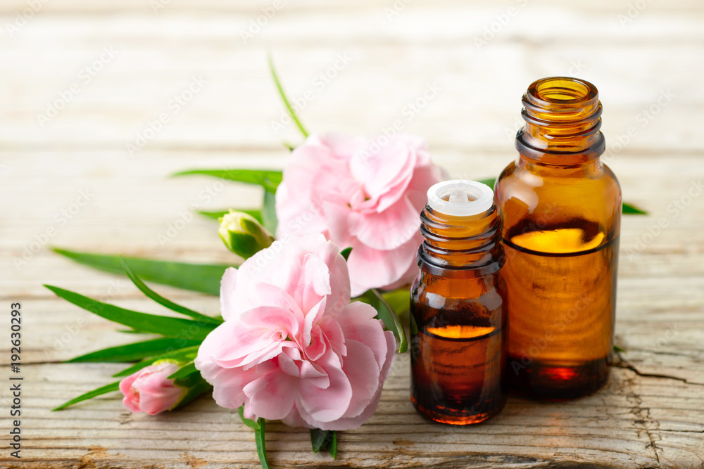 Carnation absolute essential oil and pink flowers on the wooden table Carnation absolute essential oil and pink flowers on the wooden table