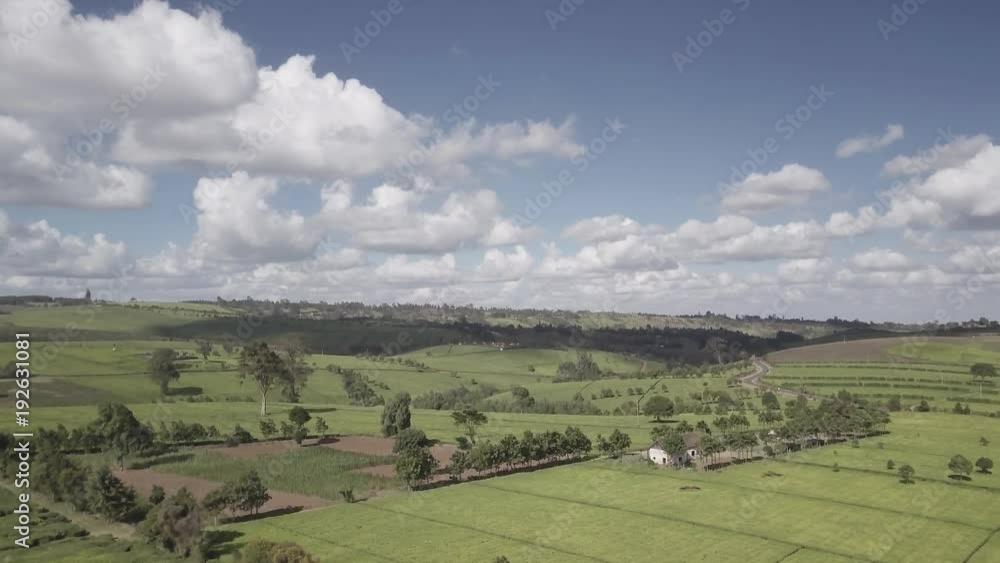 Tea farm vastness, plantations as far as the eyes can see, aerial shot. Tea farm vastness, plantations as far as the eyes can see, aerial shot.