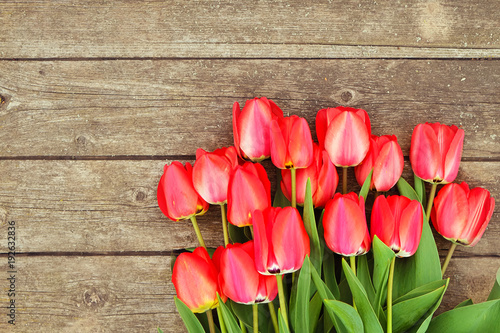Fototapeta Naklejka Na Ścianę i Meble -  Row of bright rich red tulip flowers on stem. Wooden background with scopy text space. Welcome spring and summer. Mother's Day background, international woman's day greeting. Top view, flat lay.