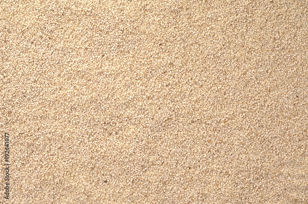 Whole Grains. Top View of Healthy grain foods. Full Frame Texture.. Whole Grains. Top View of Healthy grain foods. Full Frame Texture..