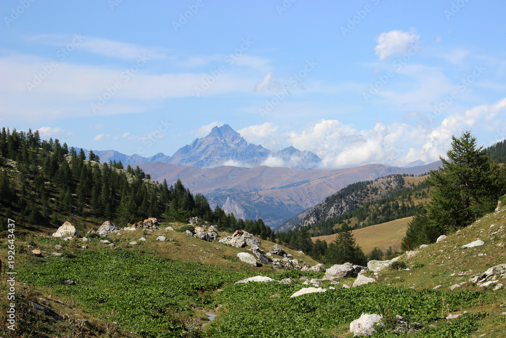 landscape with the Monviso mountain in the background