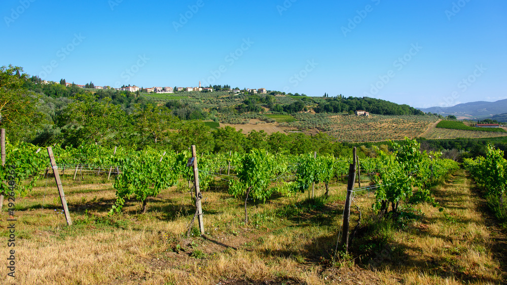 winnice Toskanii, Włochy