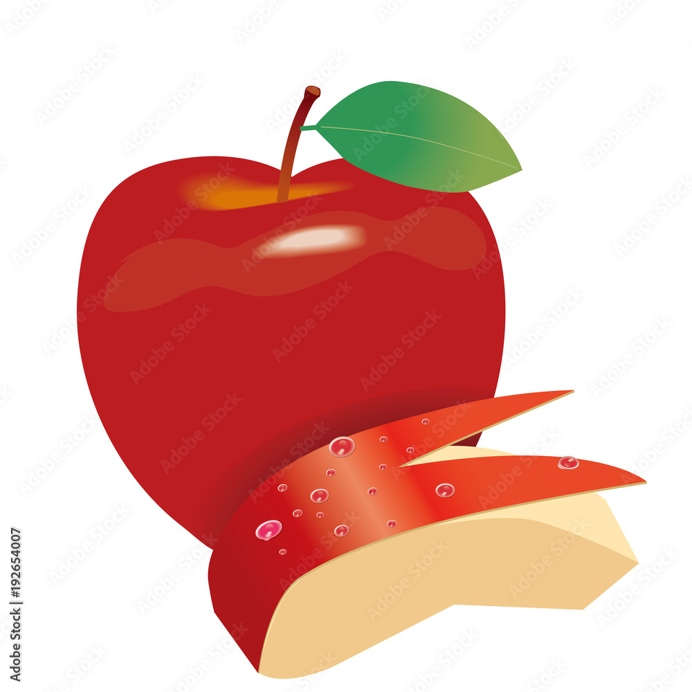 丸の林檎とウサギ形のリンゴのイラスト 林檎の実 手描き風イラスト Stock ベクター Adobe Stock