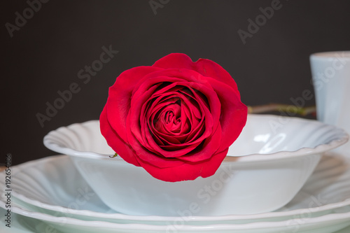 Red rose in while bowl