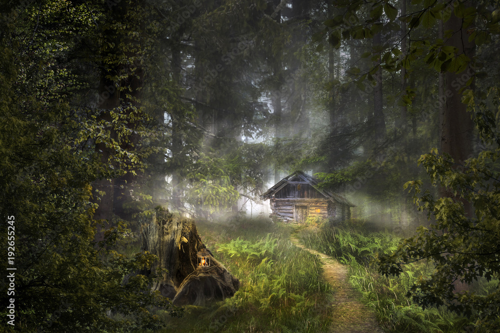 Obraz premium Das Hexenhaus